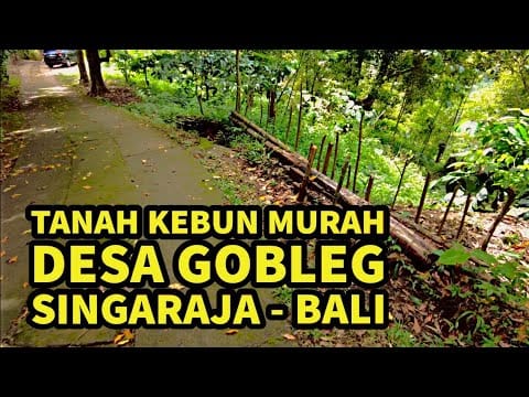 ngurah surya kusuma