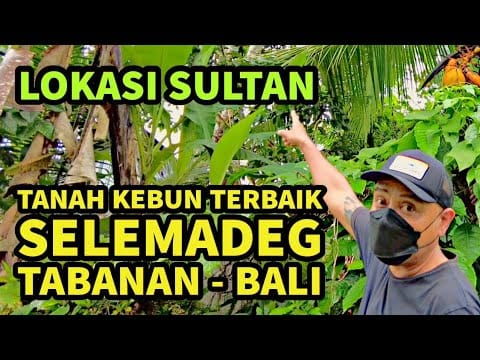 ngurah surya kusuma