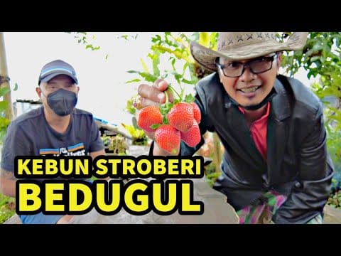ngurah surya kusuma