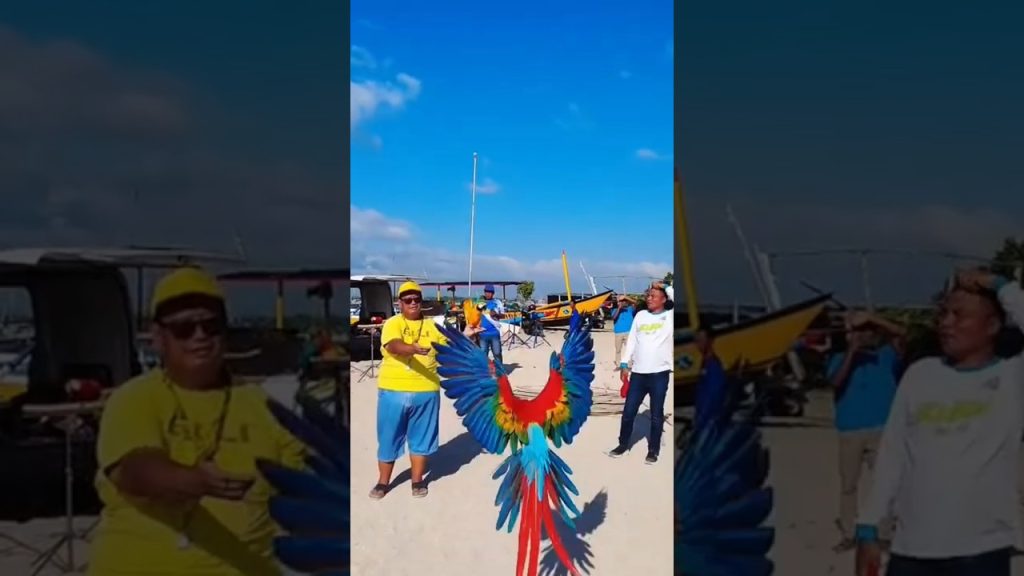 ngurah surya kusuma