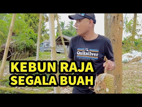 ngurah surya kusuma