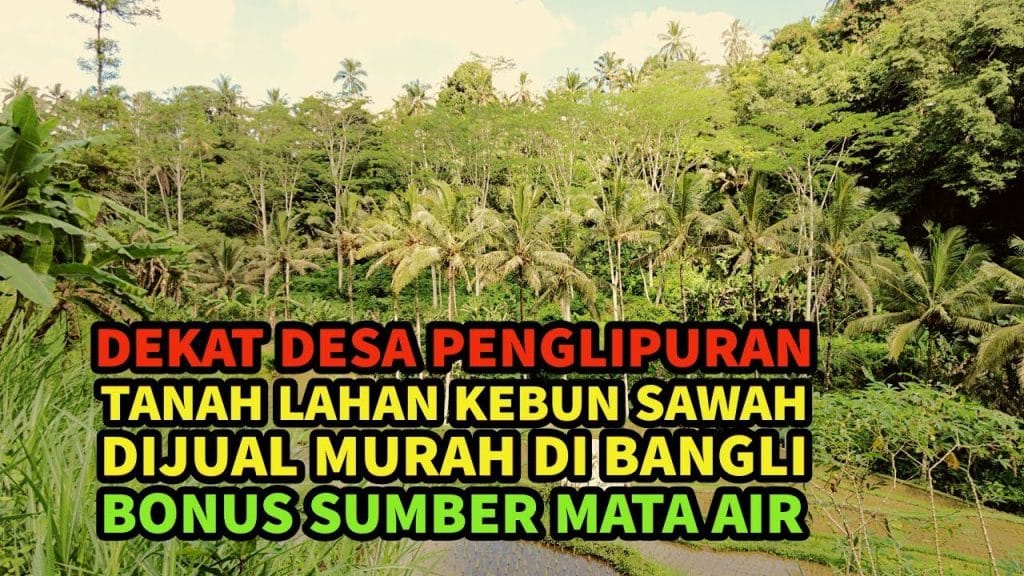 ngurah surya kusuma