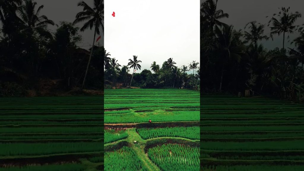 ngurah surya kusuma