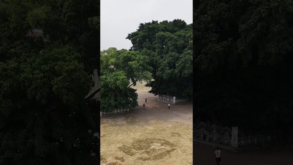 ngurah surya kusuma