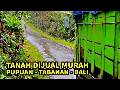 ngurah surya kusuma
