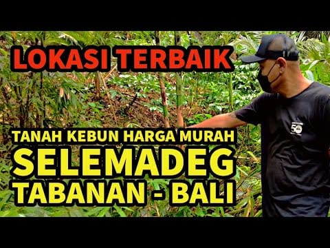 ngurah surya kusuma