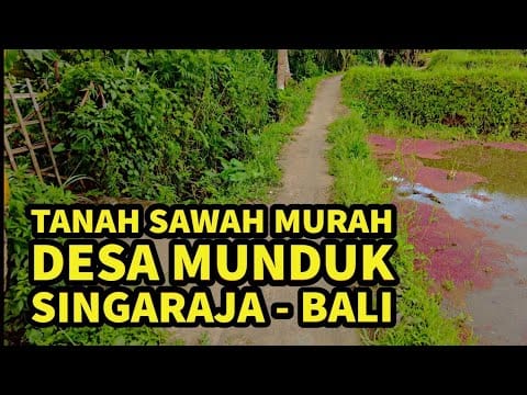 ngurah surya kusuma