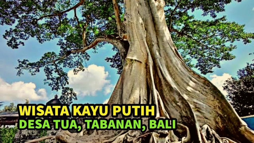 ngurah surya kusuma