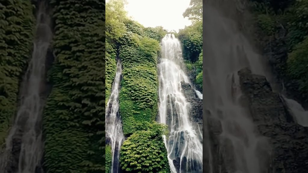 ngurah surya kusuma