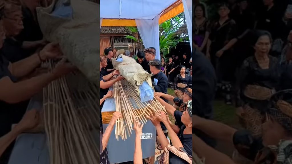 ngurah surya kusuma