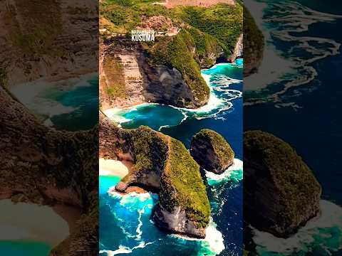 ngurah surya kusuma