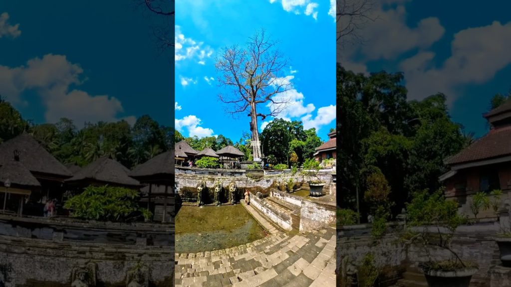 ngurah surya kusuma